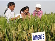 Chuyển giao công nghệ giữa viện - trường - doanh nghiệp: Những vướng mắc